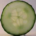 cucumber-slice