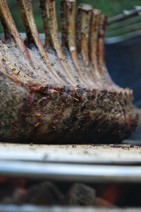 lamb-chops-rack