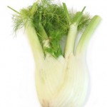 fennel