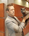 house-and-the-cat