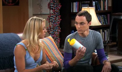 the big bang theory
