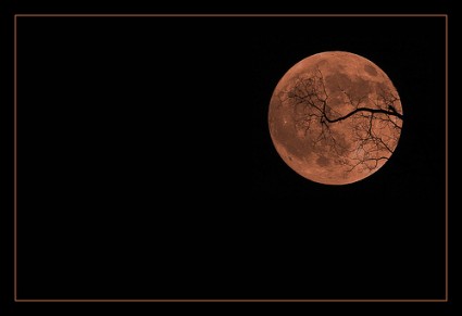 Halloween Halloween