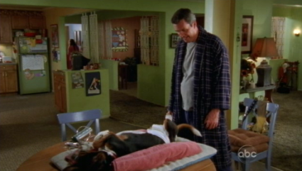 The Middle dog diaper The Middle dog diaper